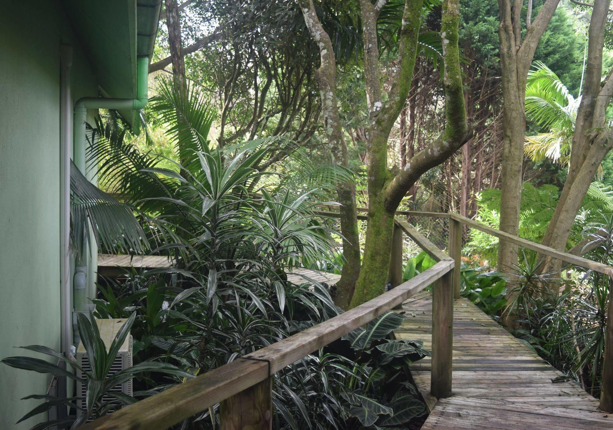 Chalet On Gallery Walk - King Bed, Spa, Fireplace, Wifi & Netflix, Linger A While Mount Tamborine Luaran gambar